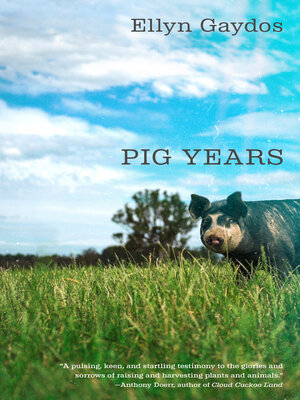 cover image of Pig Years
